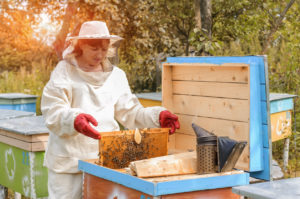 Beekeeping