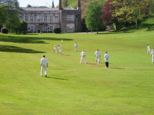 Village Cricket