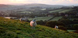 UK Farmers Wealth